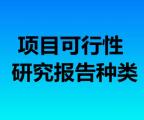 项目可行性研究报告范文种类