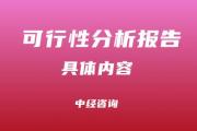 项目可行性分析报告的具体内容