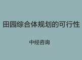 田园综合体规划怎么撰写出专业的可行性研究报告？