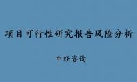 如何撰写项目可行性研究报告中“风险分析 ”？